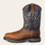 Ariat Men's Workhog Venttek XT CT H2O Brn/Storm